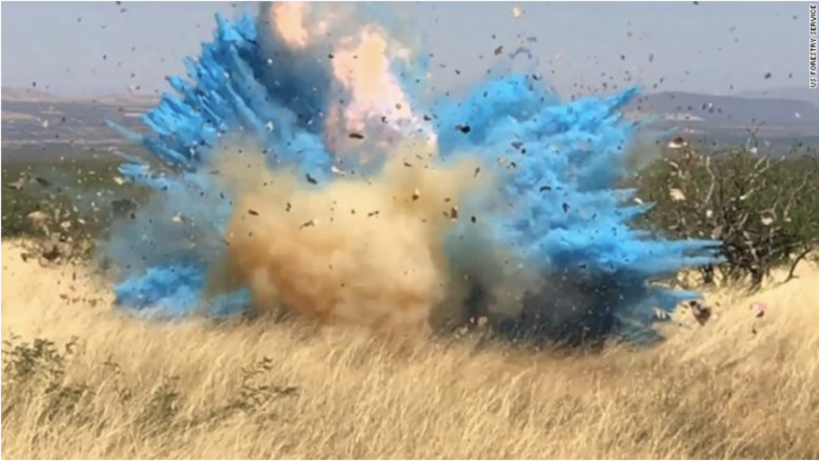 The US Forestry Service released the video of the gender reveal gone horribly wrong. 
