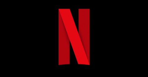 This shows the logo of the popular platform, Netflix.