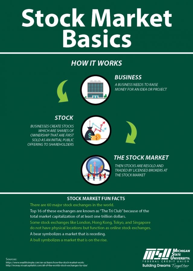 An infographic displaying the Stock Market Basics