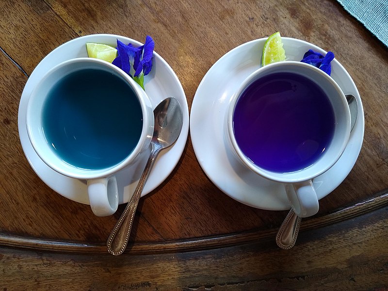 Did you like Butterfly Pea tea? Here are some other teas you might like!