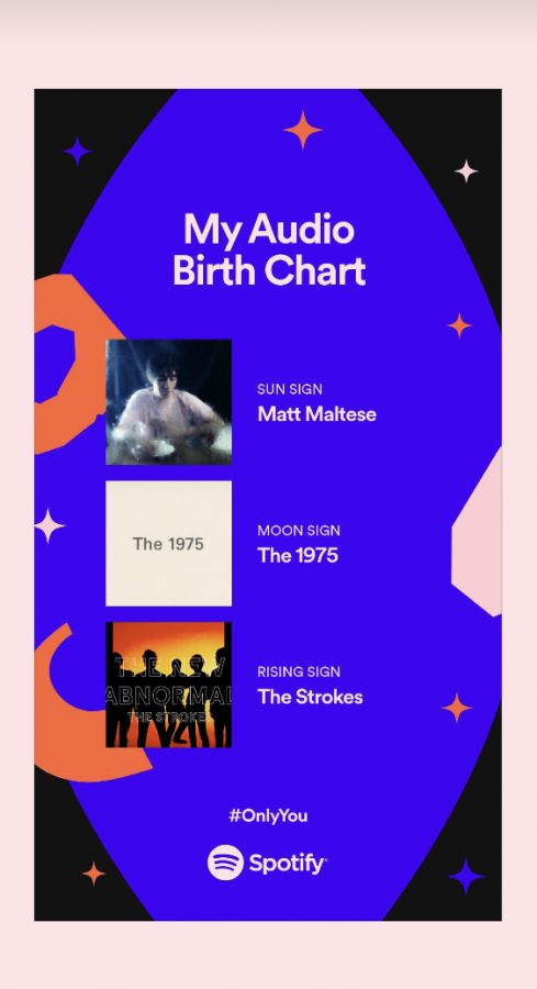 Spotifys new audio birth chart feature