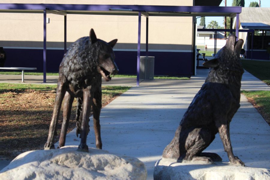 wolf statues