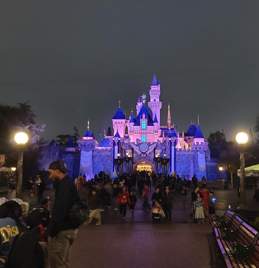 The magical Sleeping Beauty Castle at night.