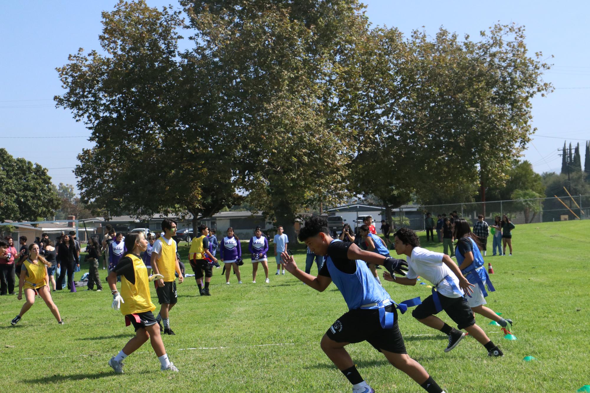 Flag Football Gallery