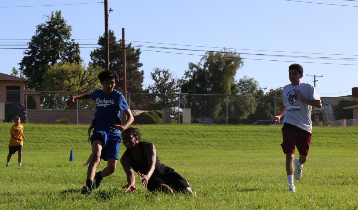 Dive for it! Abraham Arambula, Trinity Chamacho, and (NO NAME YET) watch as (NO NAME YET) goes for the catch! They are all hard at work practicing flag football!
