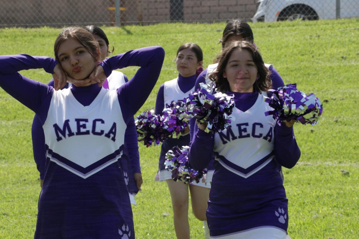 The wonderful cheerleaders of MECA. This wonderful cheerleading team was performing cheer during the house competition, and they cheered their teams on greatly.
