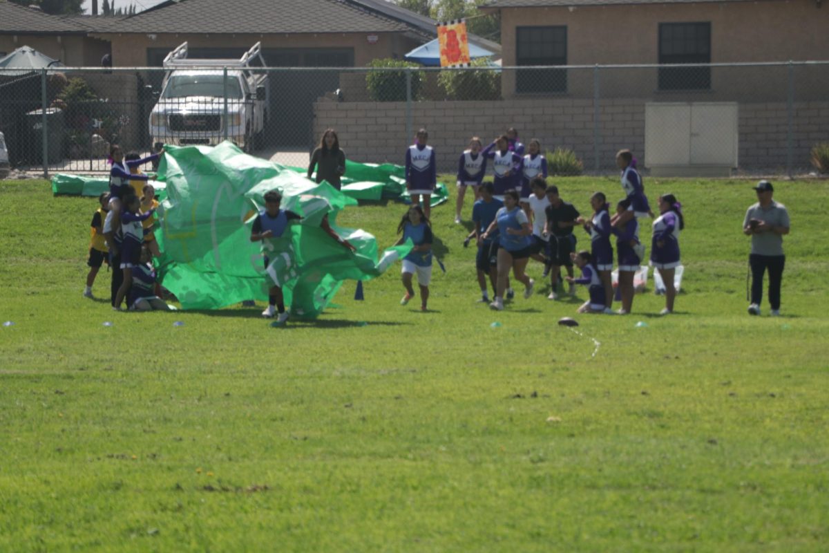 The run of confidence, when the house competition started, the champions that were going to play in the game ran across the field intimidating their opponents as they show off their speed,
