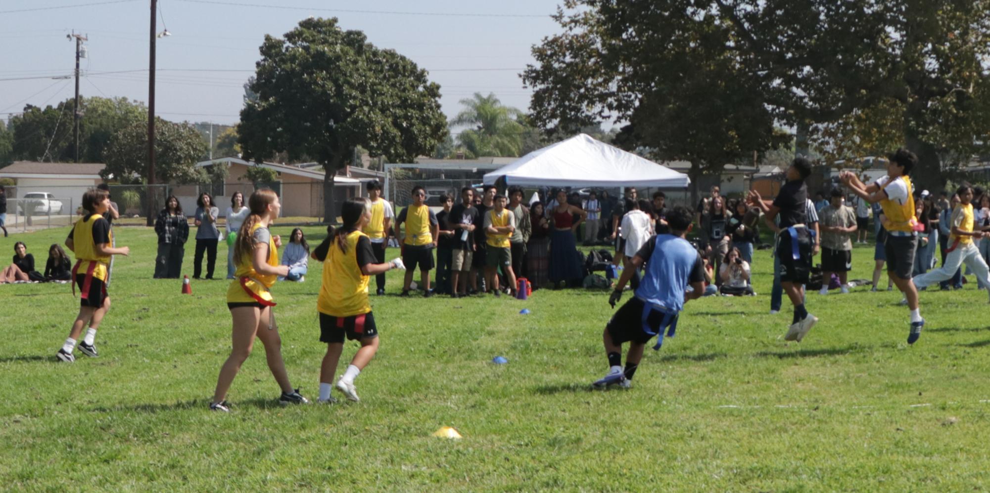 Flag Football Gallery