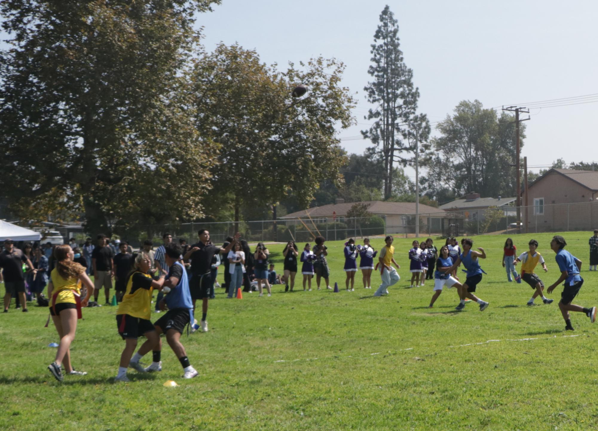 Flag Football Gallery