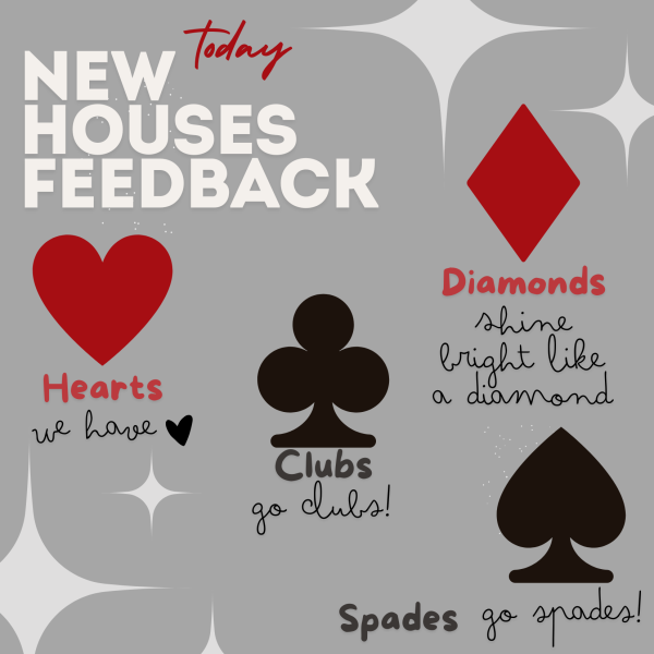 New Houses Feedback