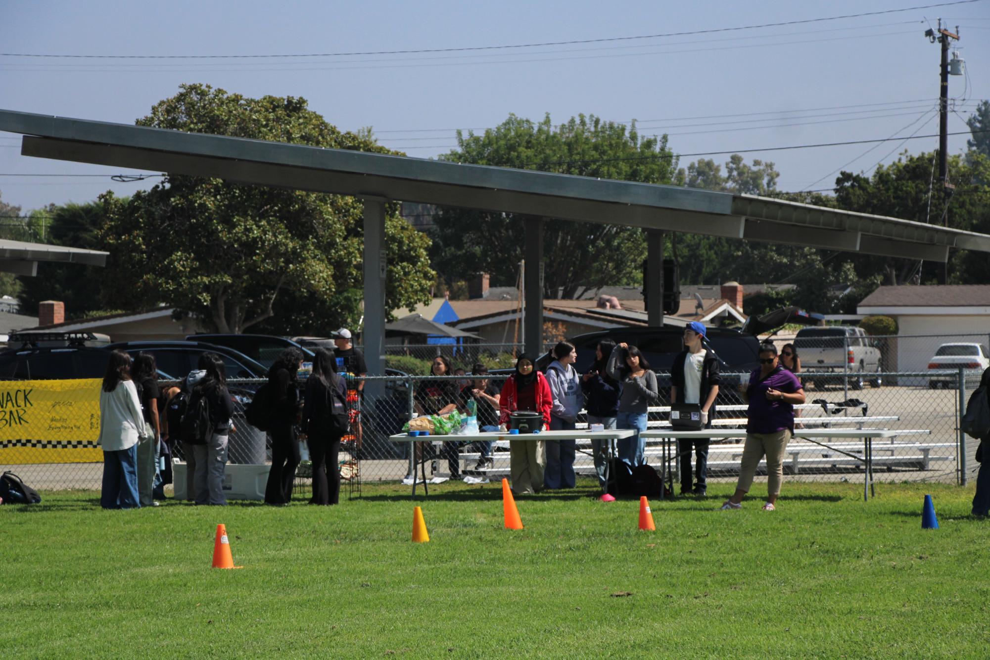 Flag Football Gallery