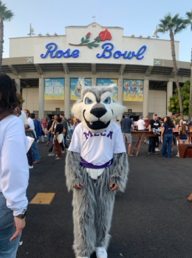 Timmy at Rose Bowl. Timmy the Timberwolf is at the Rose Bowl in Pasadena, the game between the UCLA Bruin and the Minnesota Gophers. The Cheer team and Timmy performed at the game together, spreading school spirit to other places. 
