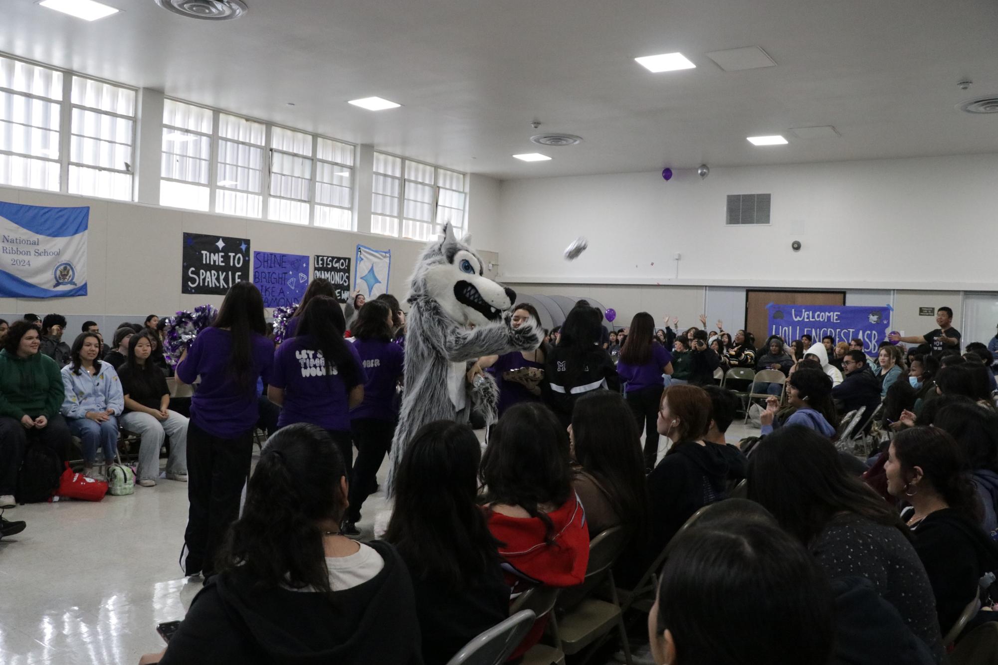 Timmy tosses out hot dogs to lucky Timberwolves during the House Competition.