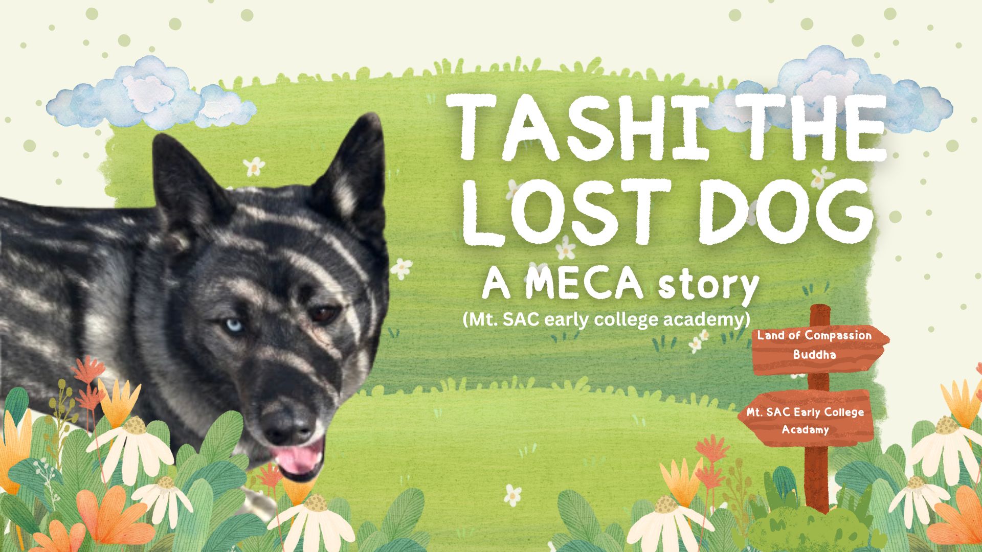 A story about the mysterious husky that wandered onto MECA and was found by our staff on campus!