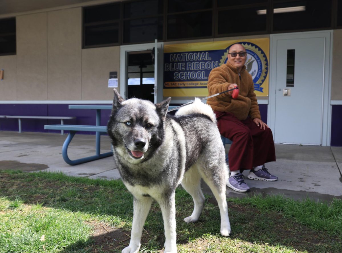 Tenzin, one of the monks in the Buddhist temple nearby, brings Tashi, the adorable husky that wandered to MECA a few weeks ago to take some photos together. 
