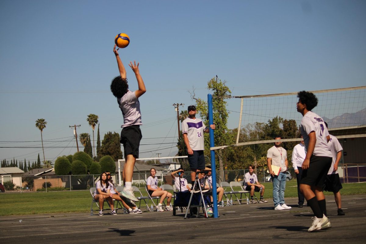 Photo of Ari playing volleyball