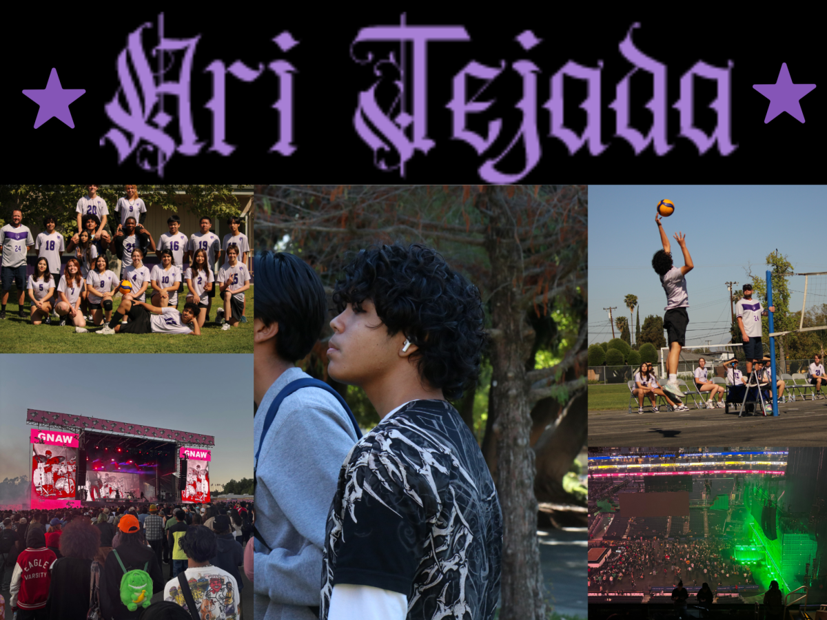 Ari Tejada 
