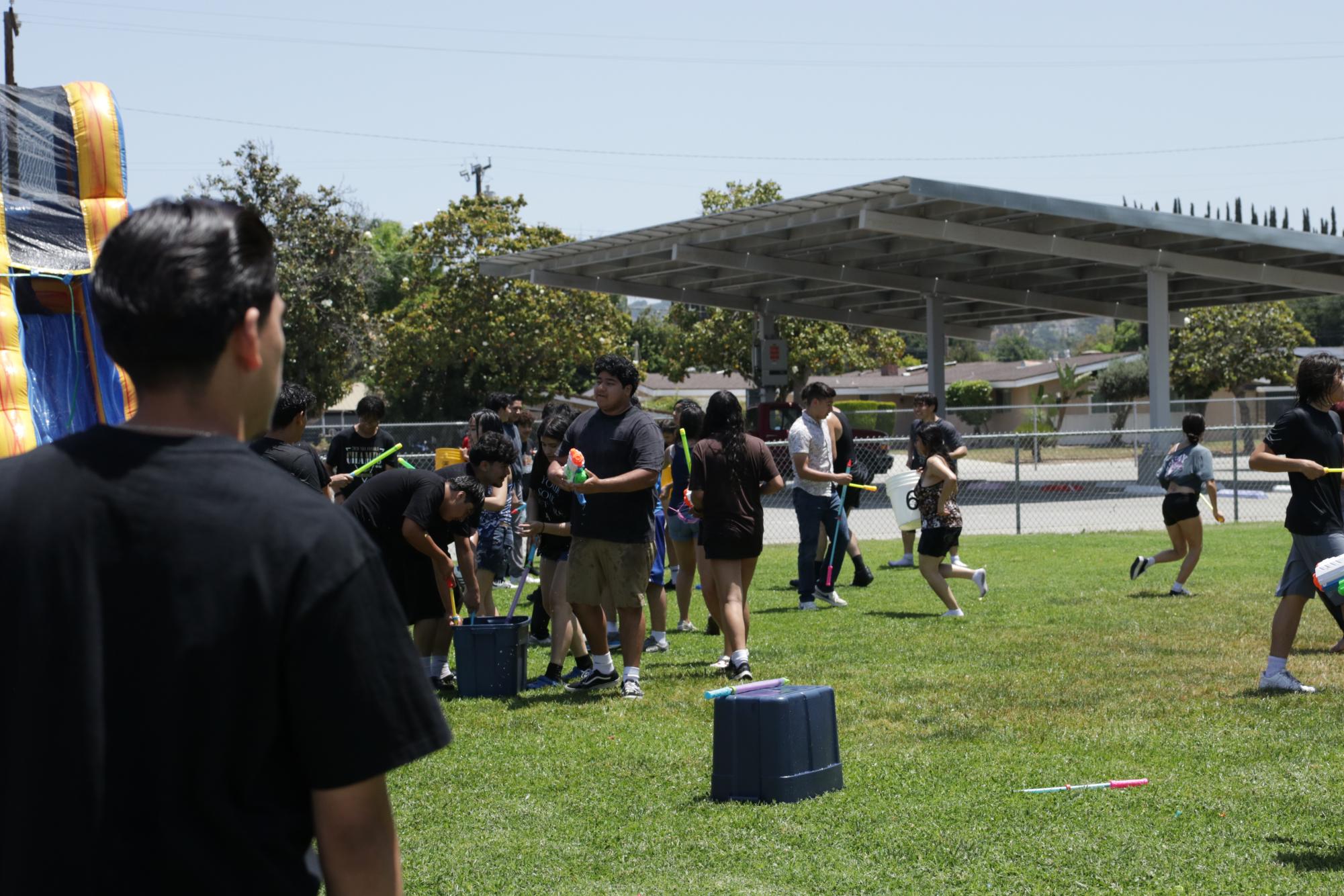 Summer Social Gallery