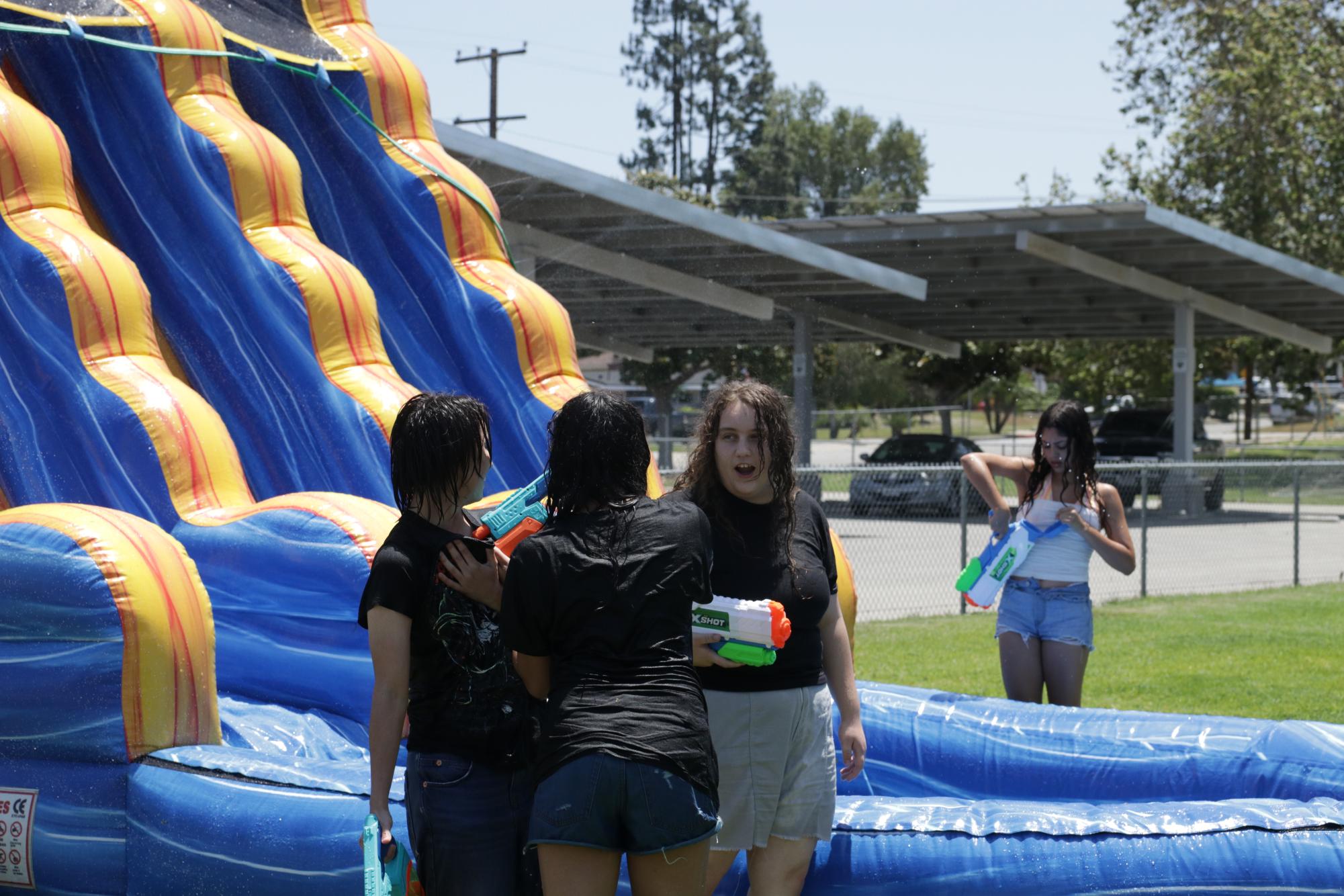 Summer Social Gallery