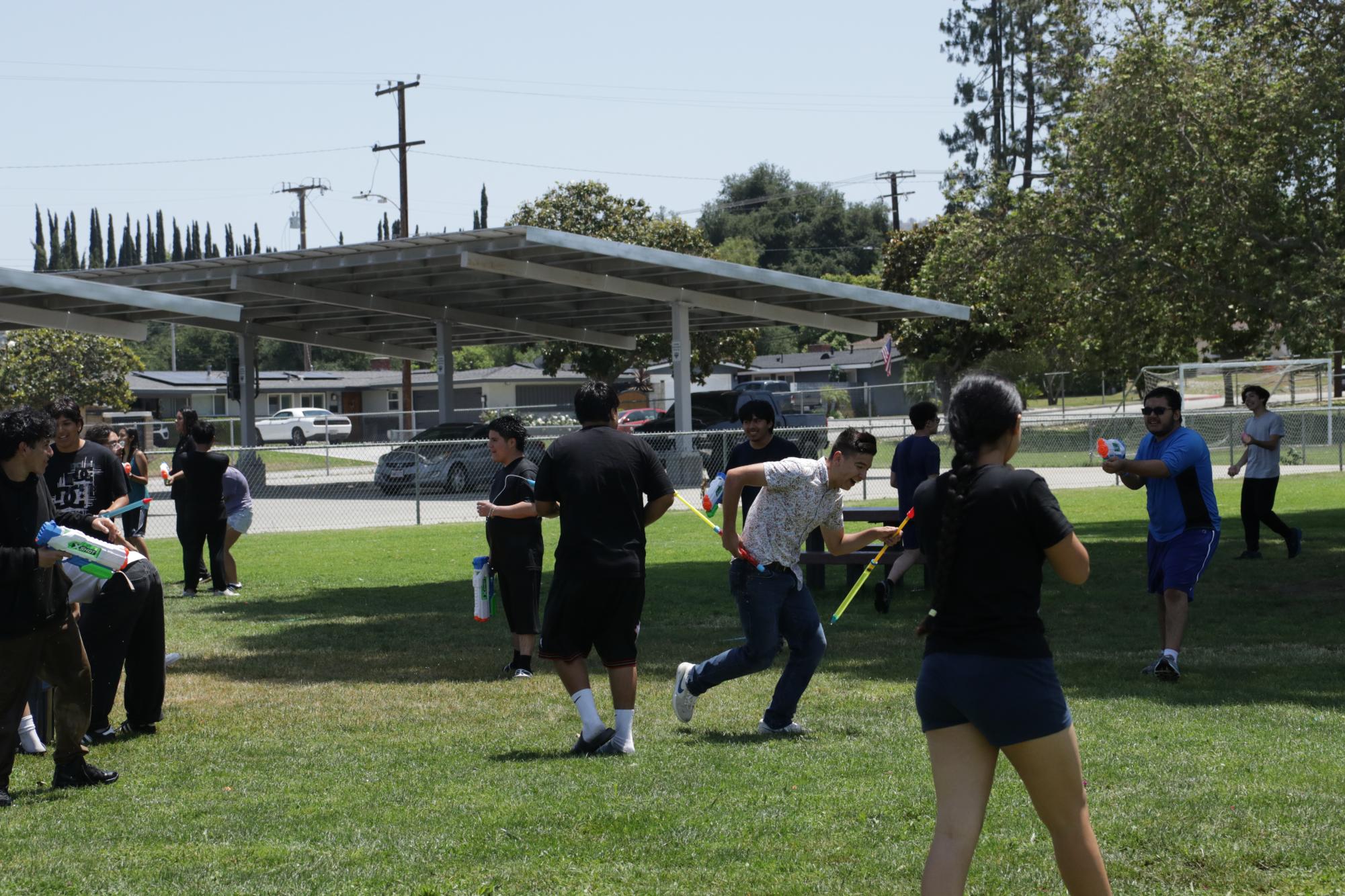 Summer Social Gallery