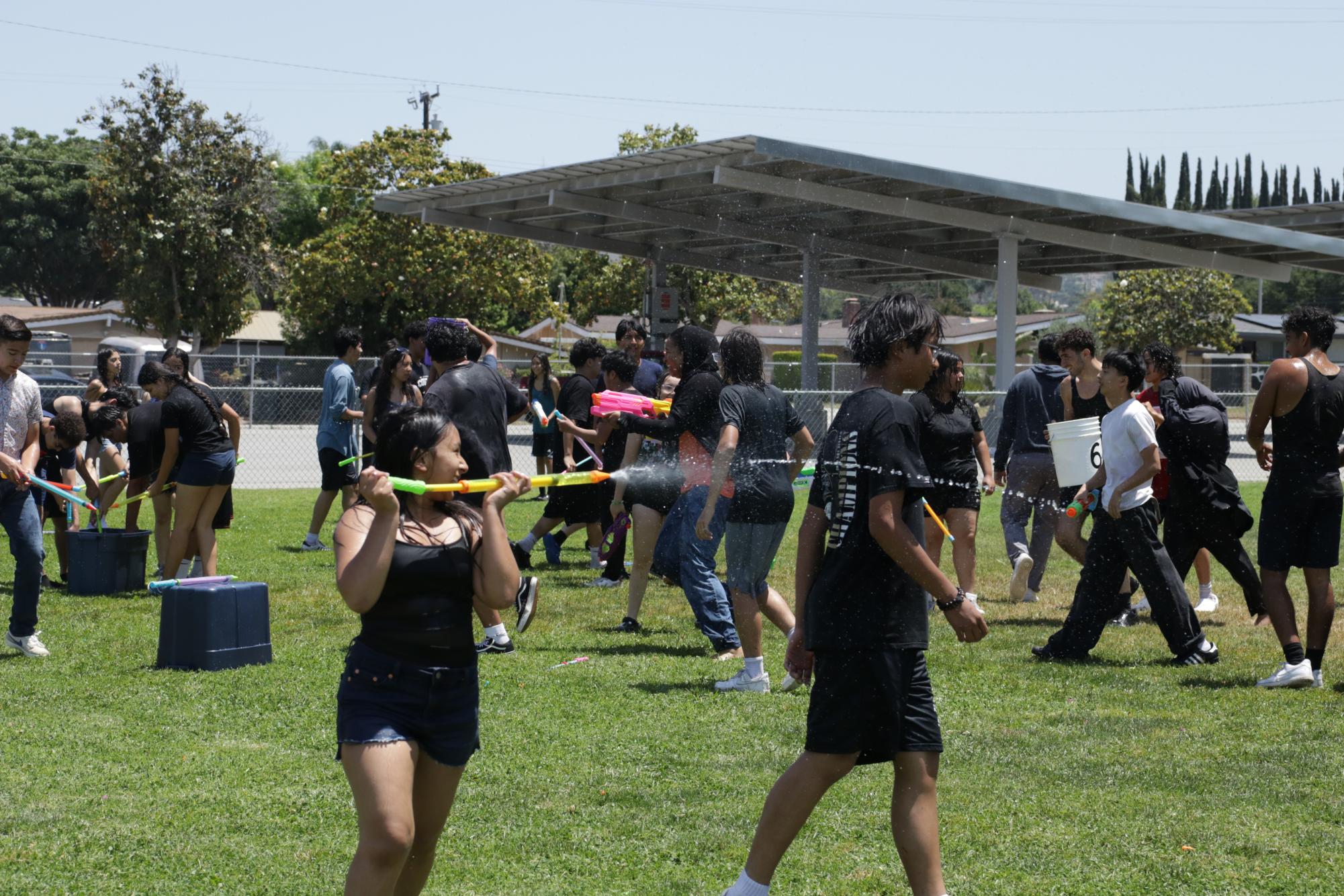 Summer Social Gallery