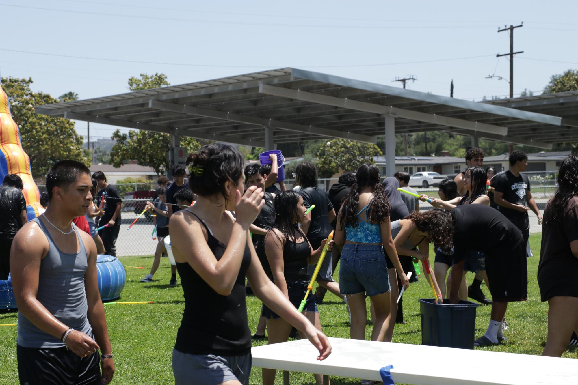 Summer Social Gallery