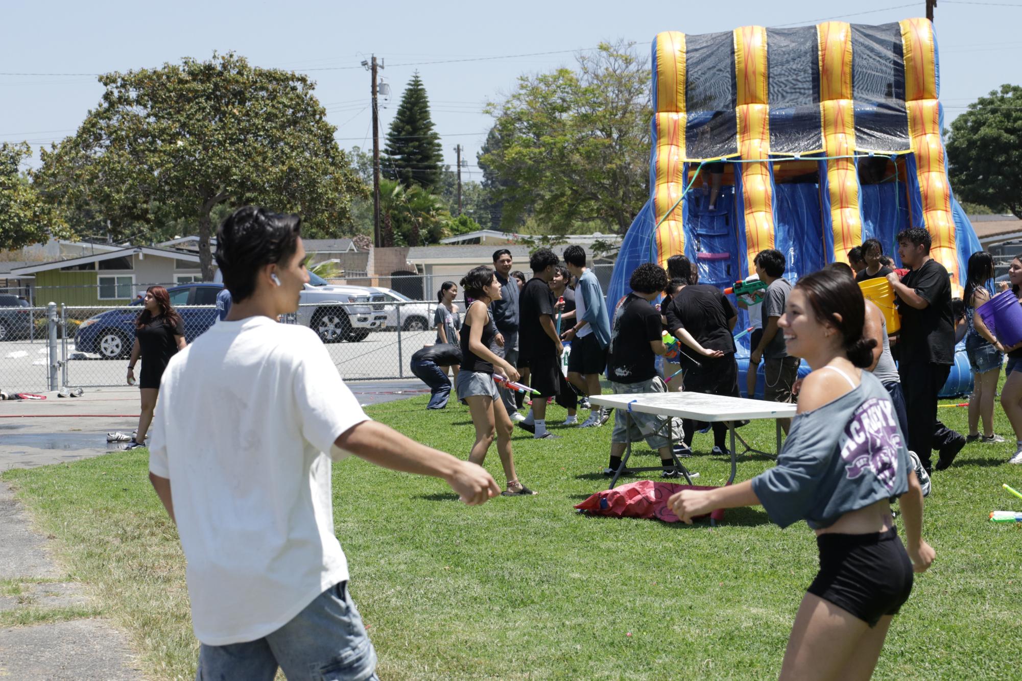 Summer Social Gallery