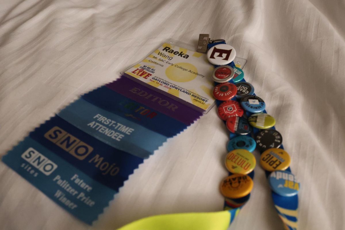 A new thing for me was collecting badges and pins at the Convention to decorate my lanyard. There were a lot of booths to visit and many had pins and badges to add to our nametags. Some people had collected enough to make a scarf.