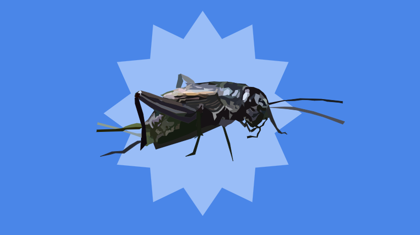 In October, a cricket infestation was found in Room 16.