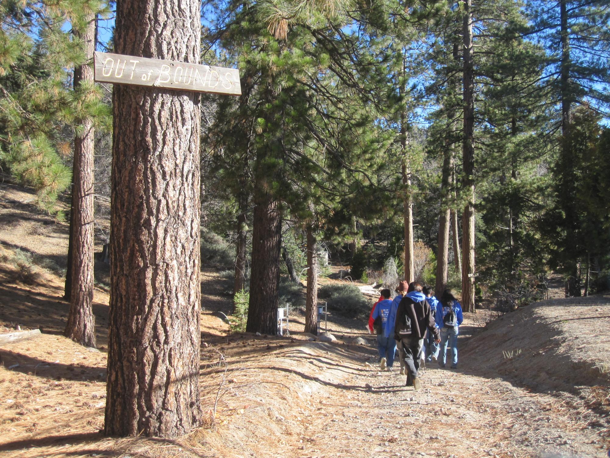 MECA Heads to the Woods