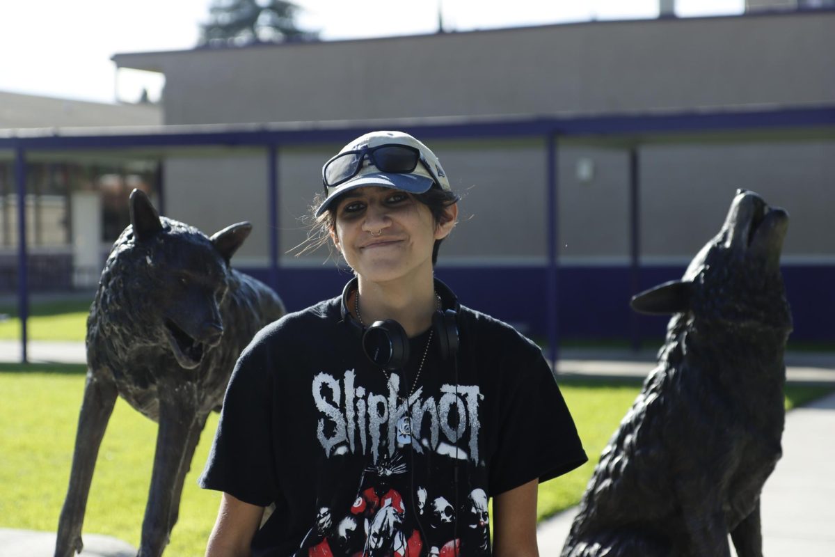 Alex Fernandez is a junior at MECA and enjoys music and art.