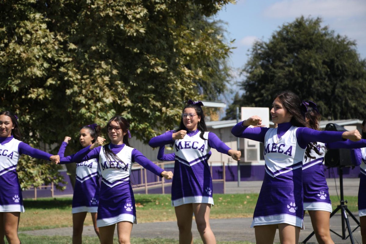 Cheer is just one of the many components driving MECA's school spirit, but alongside the club and sports teams, there's so much more!