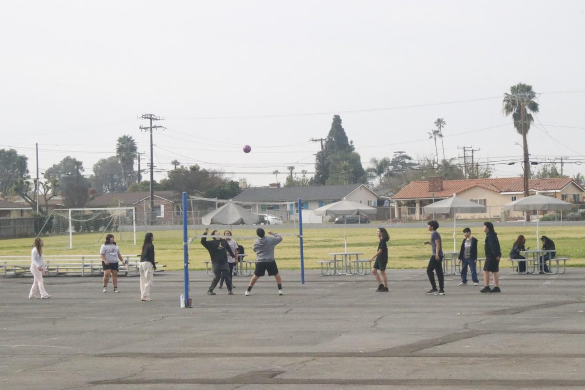 PE students playing volley ball during second period in the morning.