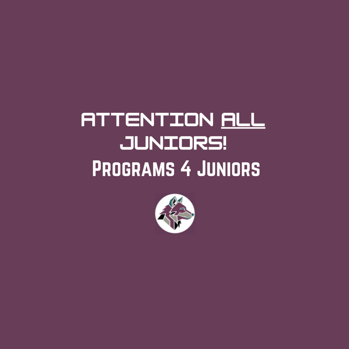 Are you a junior looking for something to do over the summer? Maybe research one of these programs and see if it catches your interest!