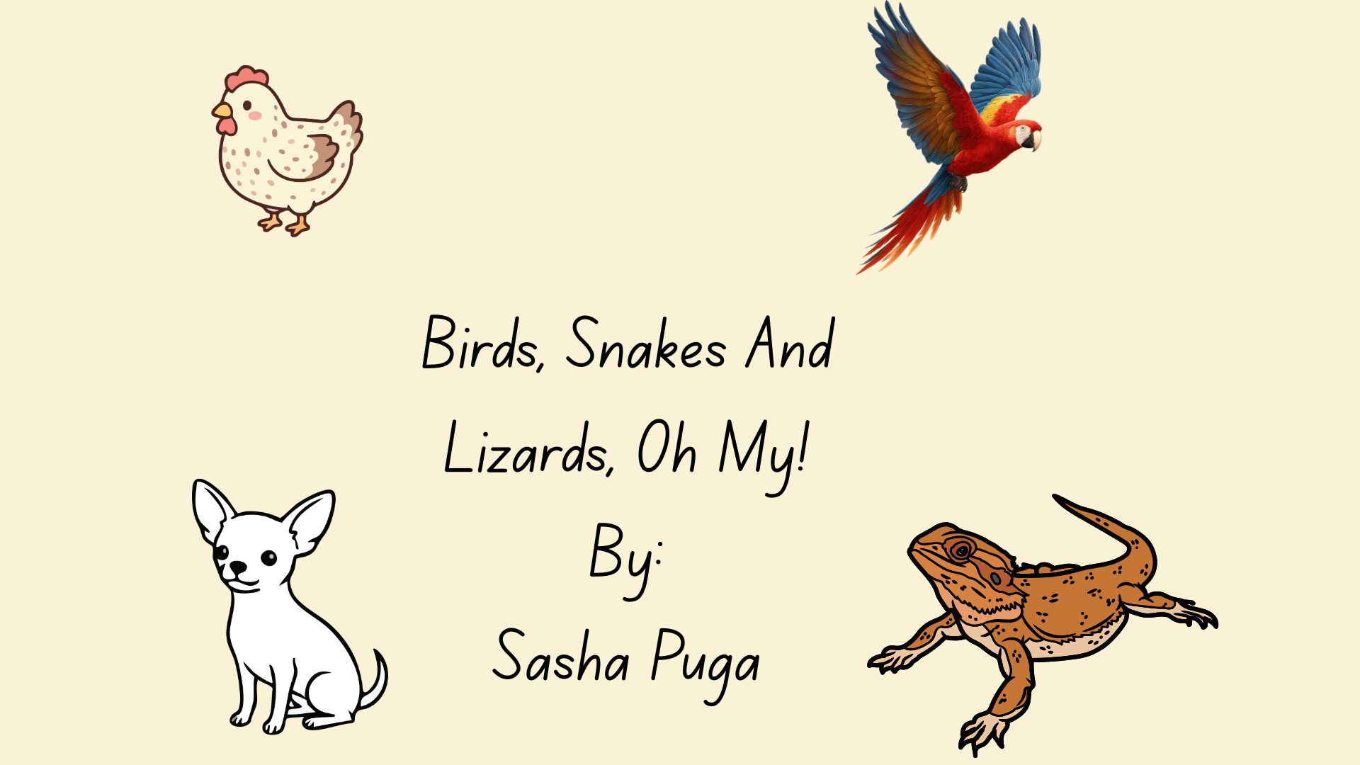Birds, Snakes And Lizards, Oh My!