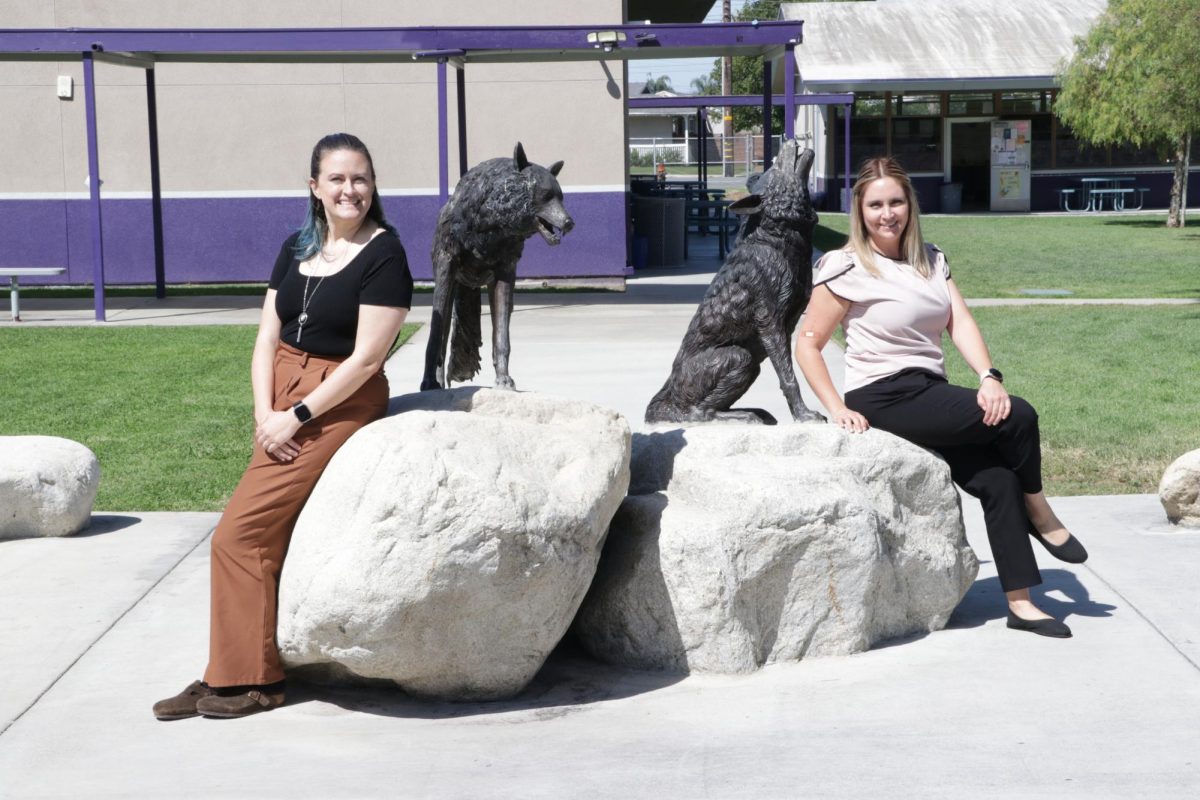 Bell has worked at MECA since its second year of existence, while Macias Lee started working at MECA two years ago. 