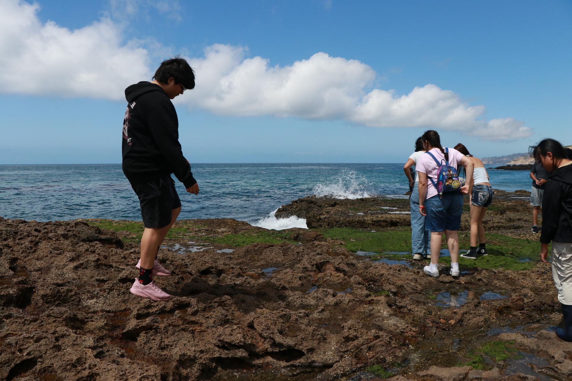 Marine Biology Field trip
