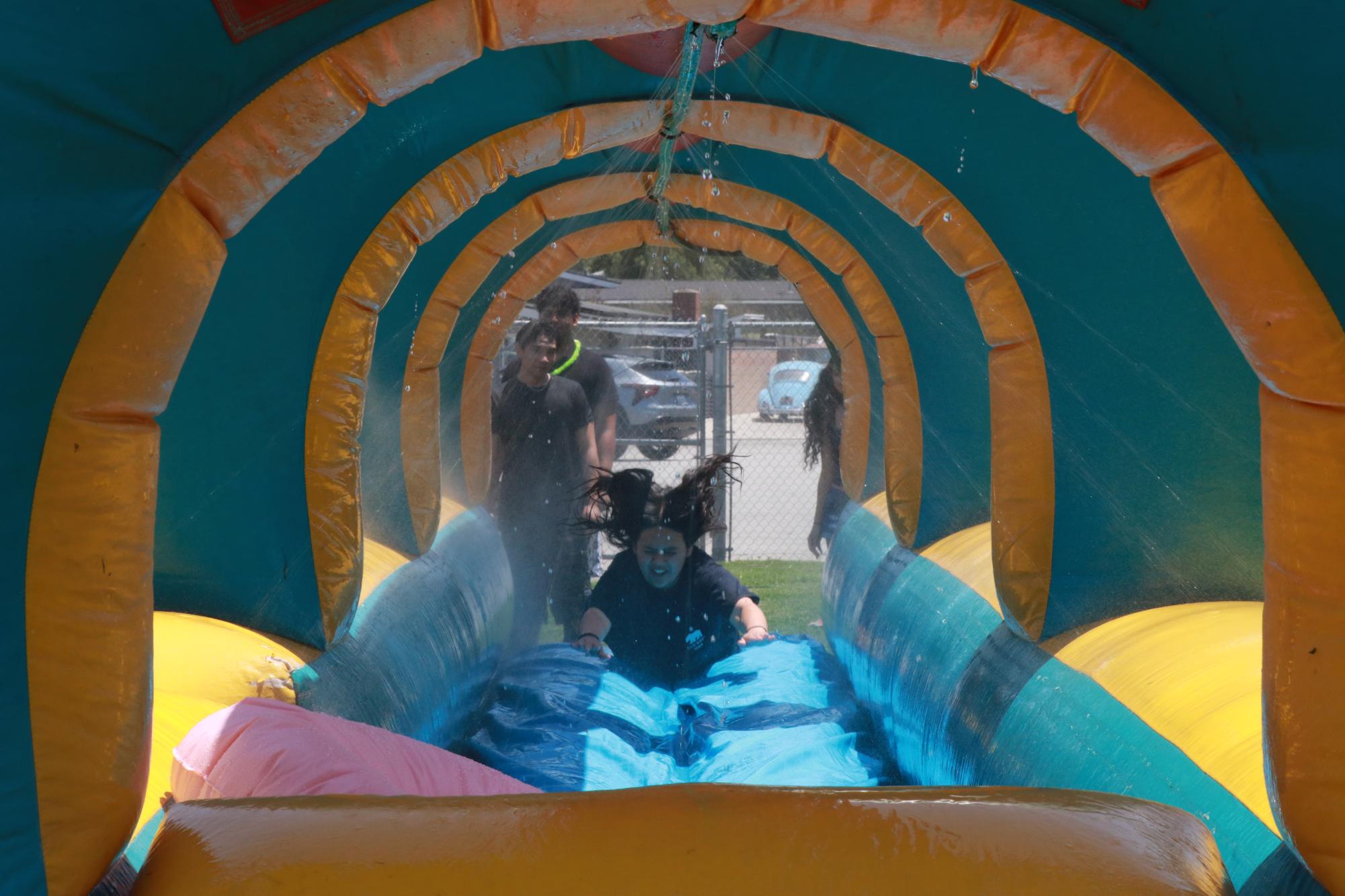 GALLERY: Summer Social 2026