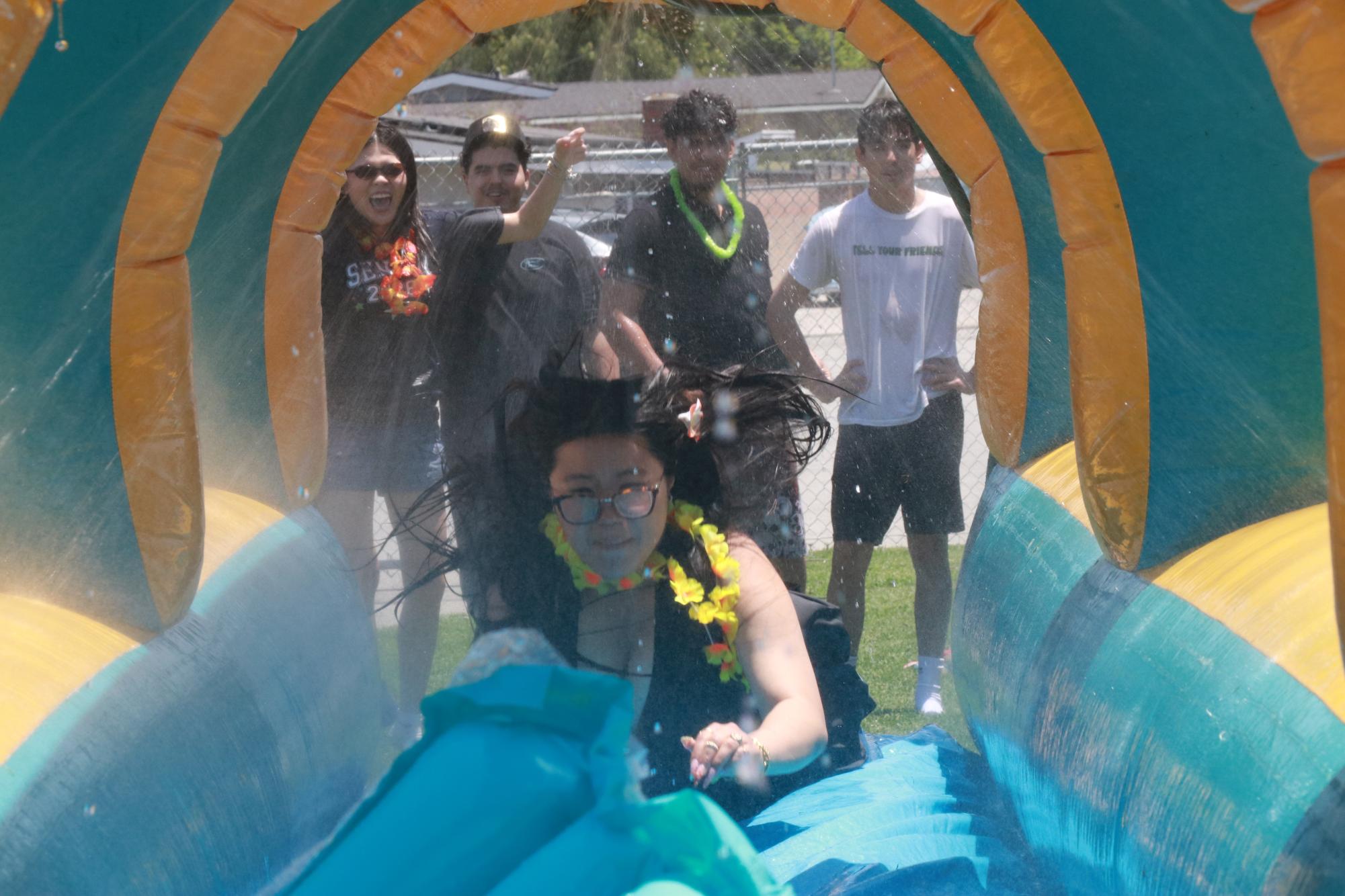 GALLERY: Summer Social 2026