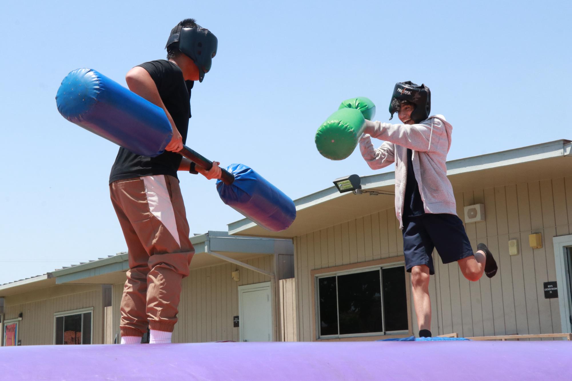 GALLERY: Summer Social 2026
